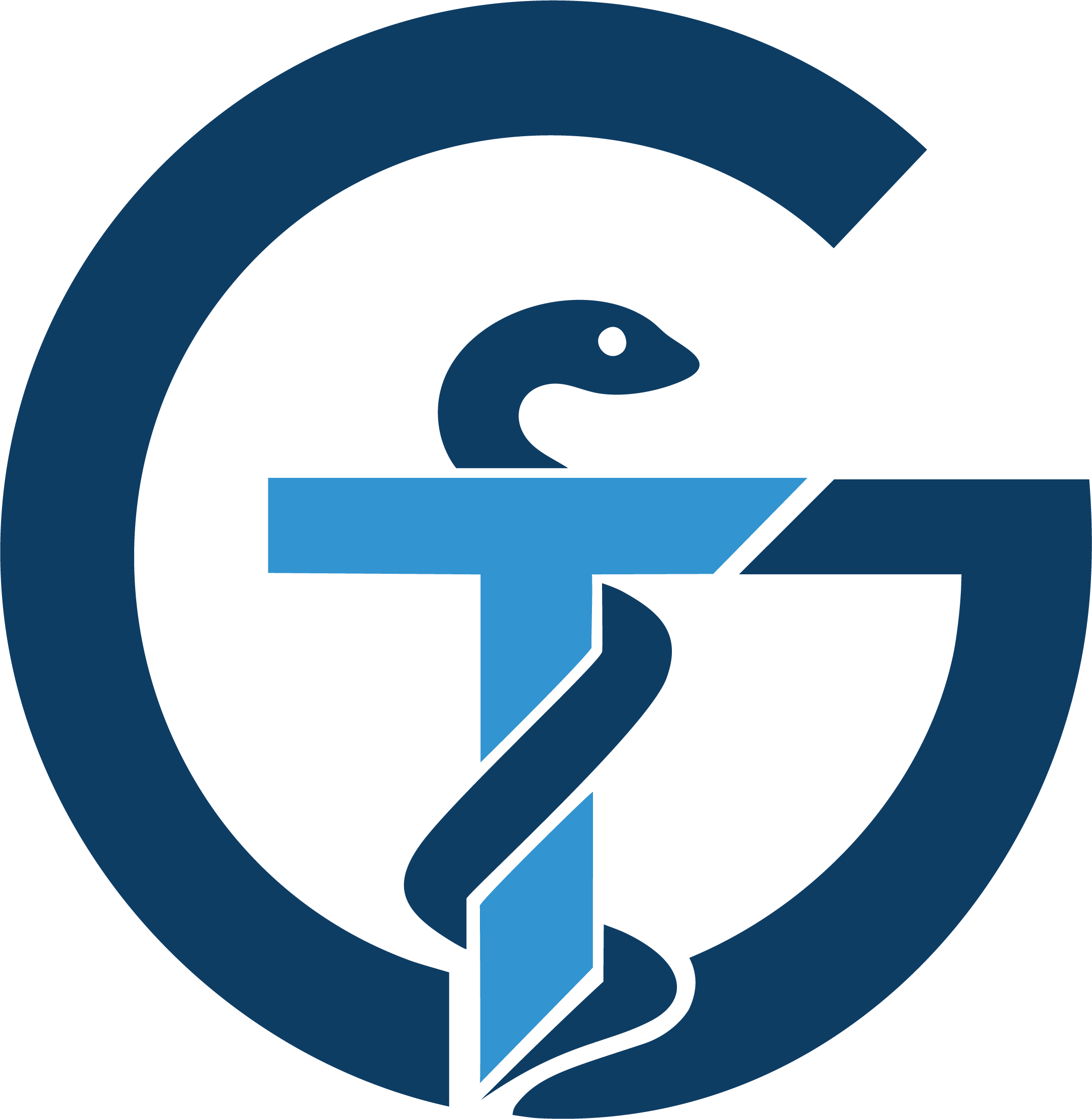 logoGT